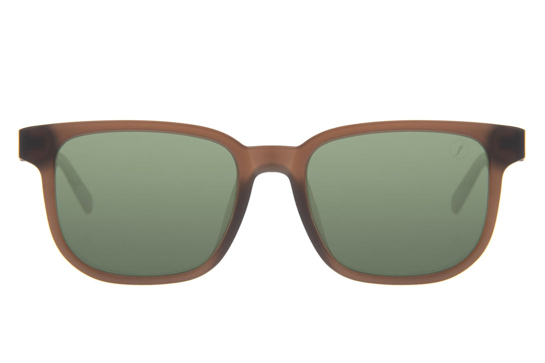 SUNGLASSES MALE MICHAEL JACKSON BOSSA NOVA GREEN BROWN OCCL4659