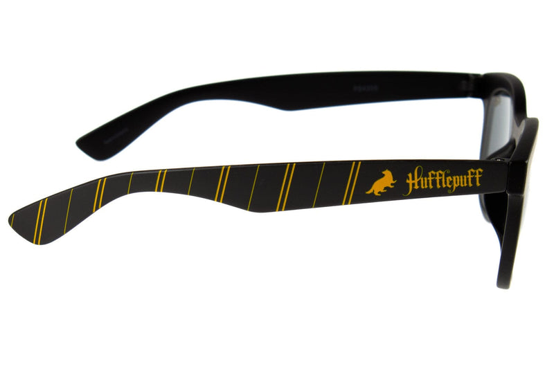 HARRY POTTER KIDS SUNGLASSES